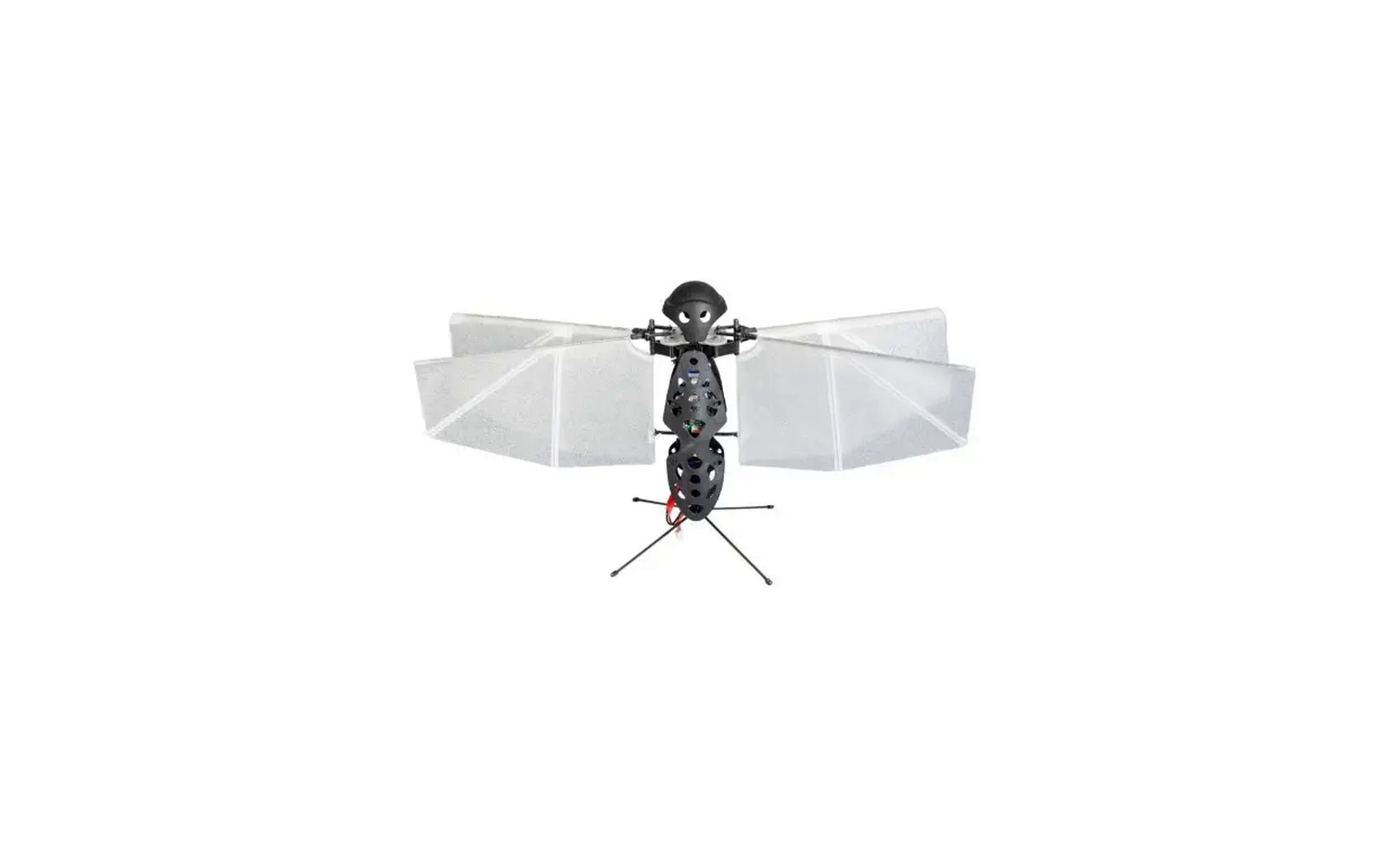 Flapper Nimble Plus flapping wing drone seen from the front on a white background, four pale membrane wings spread wide, a dark moulded head and a slim vertical body carrying its electronics, standing on four thin wire legs.