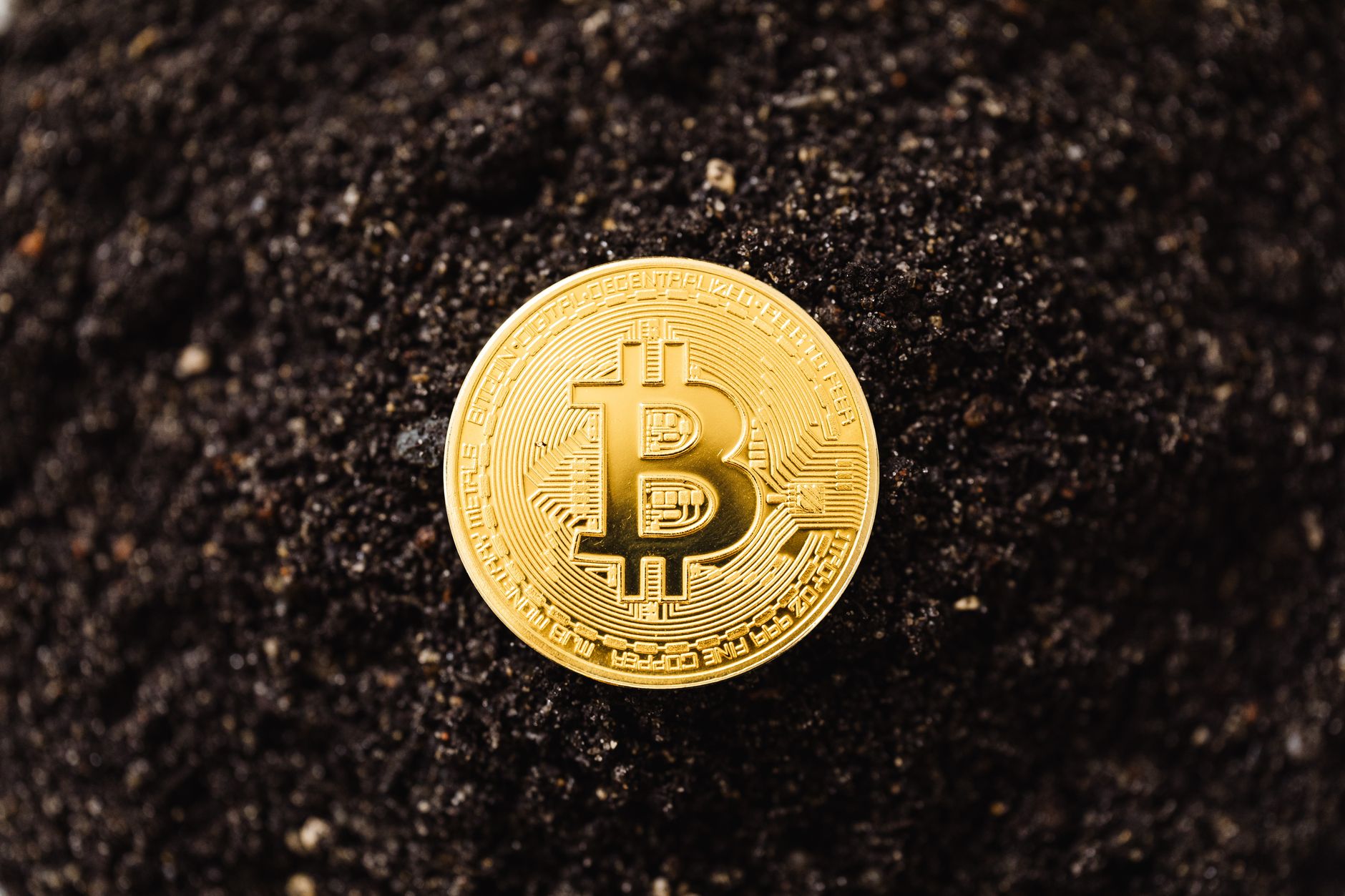 A glimpse into a Bitcoin mining operation. Close-up of a golden Bitcoin coin resting on dark soil, symbolizing cryptocurrency growth.